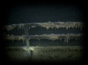 001 Mule Stable Rail